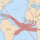 Overview of the slave trade out of Africa, 1500-1900
Trans-Alantic Slave Trade Database